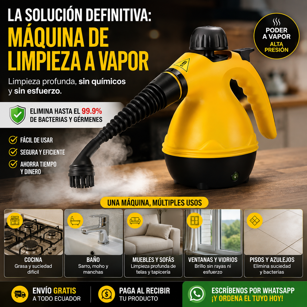 MAQUINA DE LIMPIEZA A VAPOR MULTIFUNCIONAL